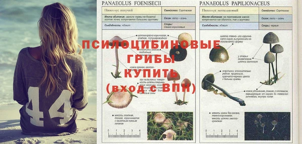 МДМА Богданович