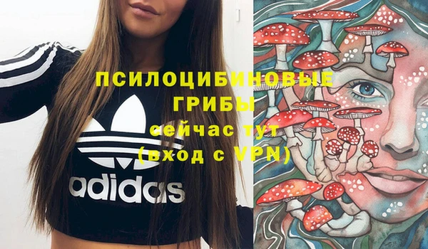 прущая мука Богородицк