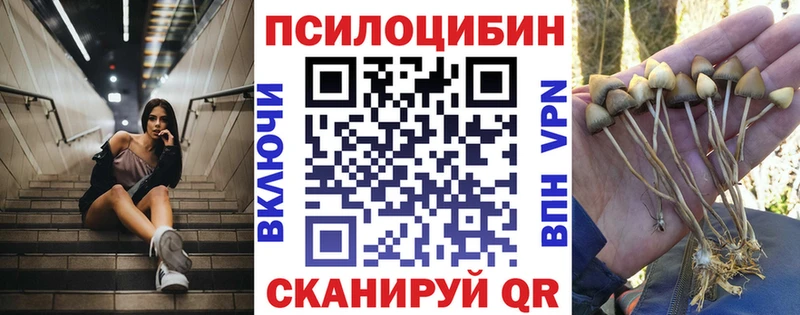 хочу наркоту  Якутск  Галлюциногенные грибы прущие грибы 